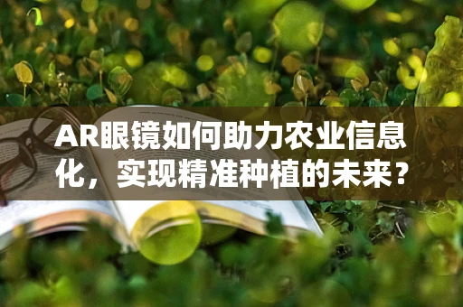 AR眼镜如何助力农业信息化，实现精准种植的未来？