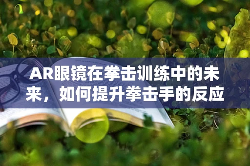 AR眼镜在拳击训练中的未来，如何提升拳击手的反应与策略？