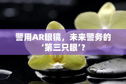 警用AR眼镜，未来警务的‘第三只眼’？