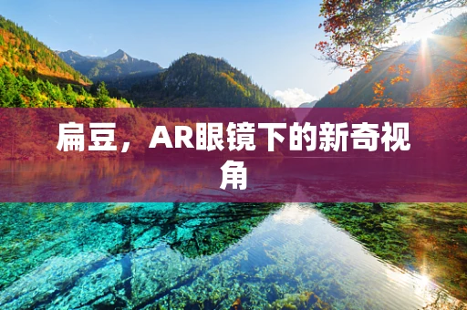 扁豆，AR眼镜下的新奇视角