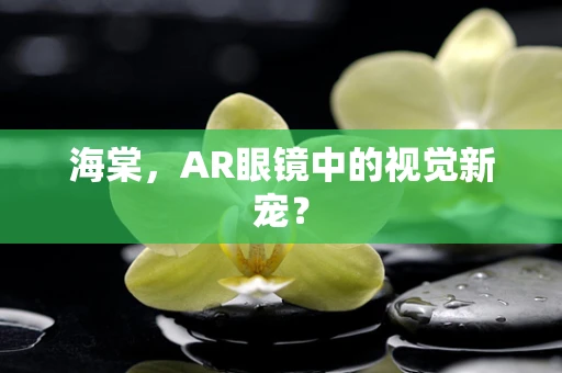 海棠，AR眼镜中的视觉新宠？