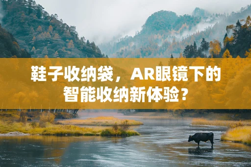 鞋子收纳袋，AR眼镜下的智能收纳新体验？