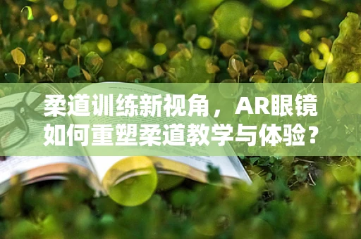 柔道训练新视角，AR眼镜如何重塑柔道教学与体验？