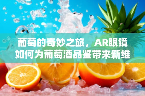 葡萄的奇妙之旅，AR眼镜如何为葡萄酒品鉴带来新维度？