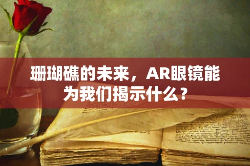 珊瑚礁的未来，AR眼镜能为我们揭示什么？