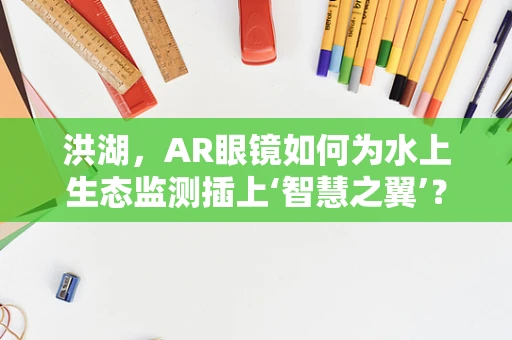 洪湖，AR眼镜如何为水上生态监测插上‘智慧之翼’？