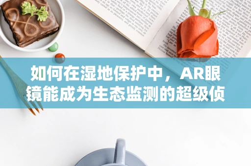 如何在湿地保护中，AR眼镜能成为生态监测的超级侦探？